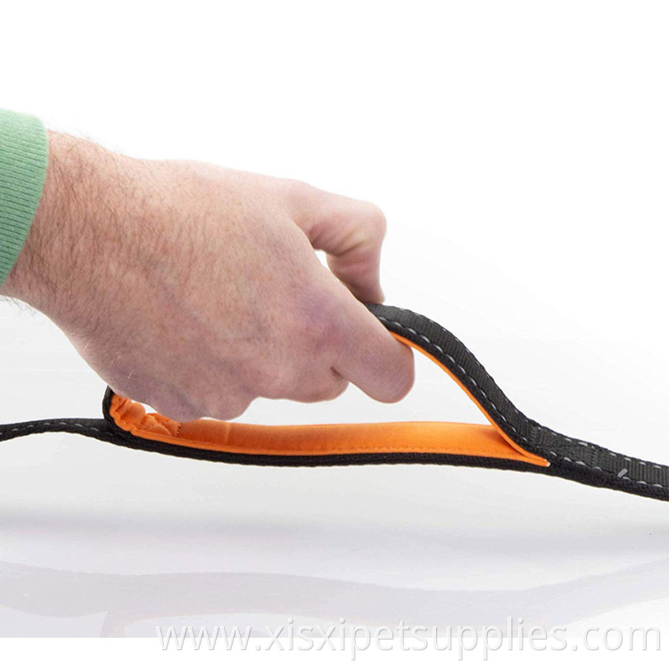2 Padded Handles Dog Leash - Traffic Control Handle for Extra Control, 6 Foot Long - Perfect Leash for Medium to Large Dogs